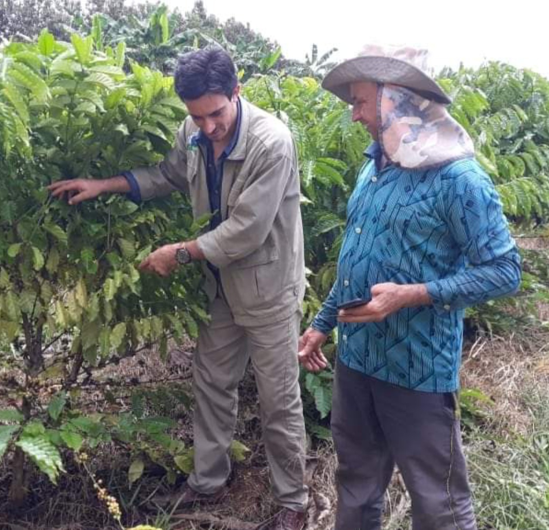 Tião de Nova União
