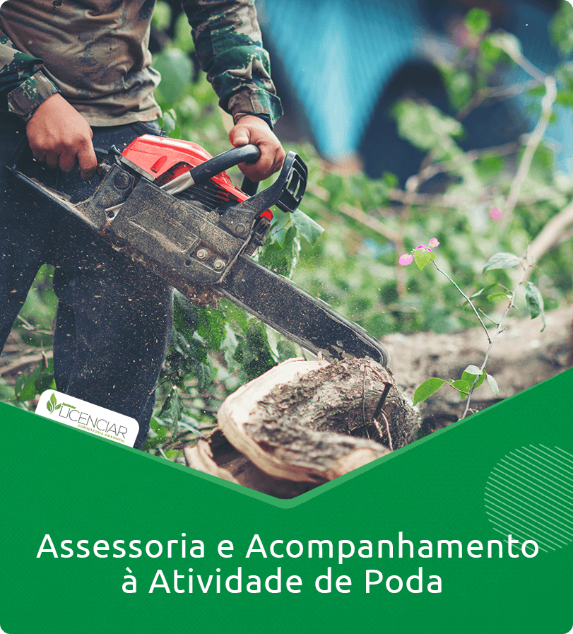 Assessoria e Acompanhamento
